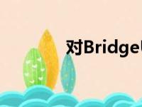 对BridgeUSA计划的新支持