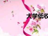大学低收入专业都有哪些