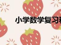 小学数学复习和考试要注意哪些事项