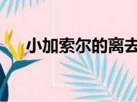 小加索尔的离去也让湖人内部颇为惋惜