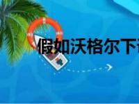 假如沃格尔下课了,谁会变成接班人?