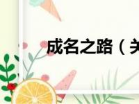 成名之路（关于成名之路的简介）