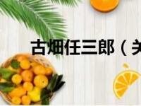 古畑任三郎（关于古畑任三郎的简介）