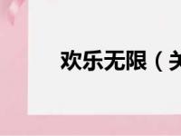 欢乐无限（关于欢乐无限的简介）