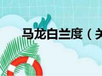 马龙白兰度（关于马龙白兰度的简介）
