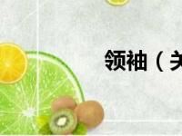 领袖（关于领袖的简介）