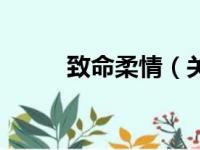 致命柔情（关于致命柔情的简介）