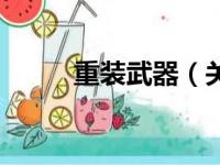 重装武器（关于重装武器的简介）