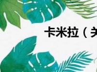 卡米拉（关于卡米拉的简介）