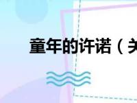 童年的许诺（关于童年的许诺的简介）