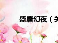 盛唐幻夜（关于盛唐幻夜的简介）