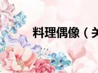 料理偶像（关于料理偶像的简介）