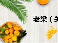 老梁（关于老梁的简介）