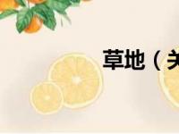 草地（关于草地的简介）