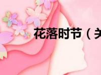 花落时节（关于花落时节的简介）