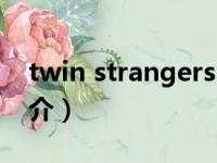 twin strangers（关于twin strangers的简介）