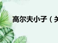 高尔夫小子（关于高尔夫小子的简介）