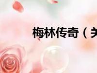 梅林传奇（关于梅林传奇的简介）