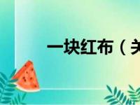 一块红布（关于一块红布的简介）