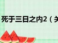 死于三日之内2（关于死于三日之内2的简介）