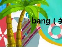 bang（关于bang的简介）