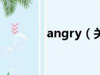 angry（关于angry的简介）