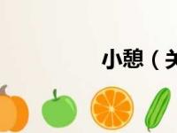 小憩（关于小憩的简介）