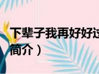 下辈子我再好好过（关于下辈子我再好好过的简介）