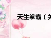 天生拳霸（关于天生拳霸的简介）