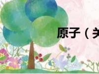 原子（关于原子的简介）