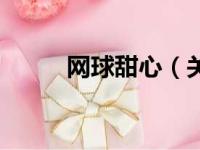 网球甜心（关于网球甜心的简介）