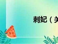 刺妃（关于刺妃的简介）