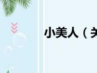 小美人（关于小美人的简介）
