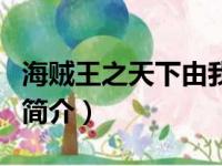 海贼王之天下由我（关于海贼王之天下由我的简介）