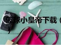 篮球小皇帝下载（关于篮球小皇帝下载的简介）