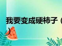 我要变成硬柿子（关于我要变成硬柿子的简介）