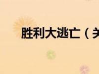 胜利大逃亡（关于胜利大逃亡的简介）
