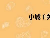 小城（关于小城的简介）