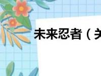 未来忍者（关于未来忍者的简介）