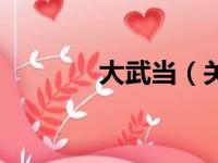 大武当（关于大武当的简介）