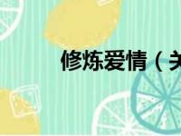 修炼爱情（关于修炼爱情的简介）