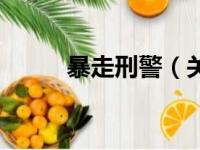 暴走刑警（关于暴走刑警的简介）