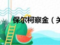 保尔柯察金（关于保尔柯察金的简介）