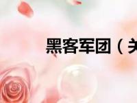 黑客军团（关于黑客军团的简介）
