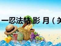 一忍法帖 影 月（关于一忍法帖 影 月的简介）