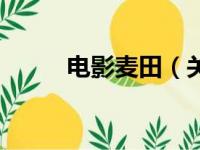 电影麦田（关于电影麦田的简介）