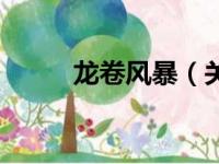 龙卷风暴（关于龙卷风暴的简介）
