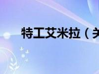 特工艾米拉（关于特工艾米拉的简介）
