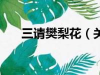 三请樊梨花（关于三请樊梨花的简介）