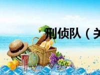 刑侦队（关于刑侦队的简介）